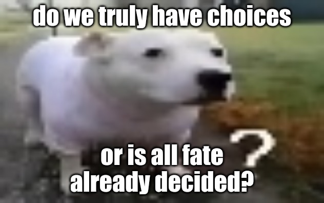 huh | do we truly have choices; or is all fate already decided? | image tagged in huh | made w/ Imgflip meme maker