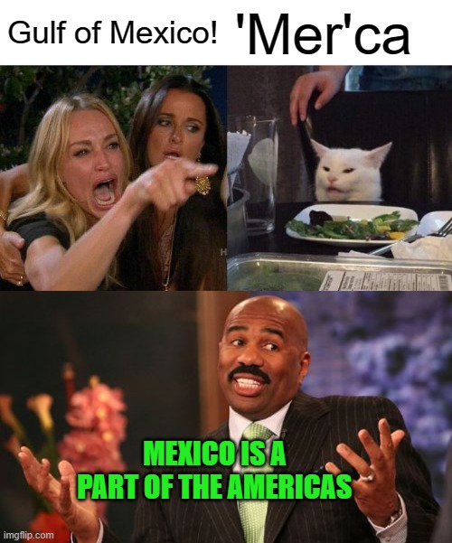 Just Like That: America | Gulf of Mexico! 'Mer'ca; MEXICO IS A PART OF THE AMERICAS | image tagged in memes,woman yelling at cat,steve harvey | made w/ Imgflip meme maker