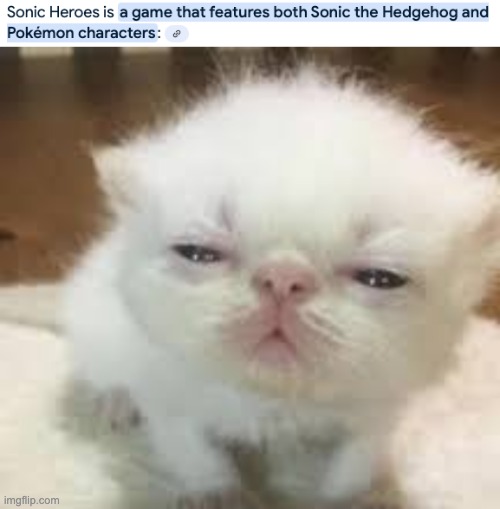 wut? | image tagged in confused kitten,memes,funny,sonic,ai,pokemon | made w/ Imgflip meme maker