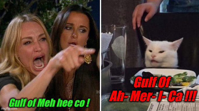 I Love It ! | Gulf Of 
Ah- Mer- I- Ca !!! Gulf of Meh hee co ! | image tagged in girl pointing at cat,political meme,politics,funny memes,funny,gulf of america | made w/ Imgflip meme maker