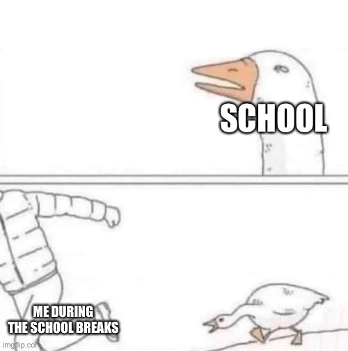 School vs me | SCHOOL; ME DURING THE SCHOOL BREAKS | image tagged in goose chase,school,school meme,middle school | made w/ Imgflip meme maker