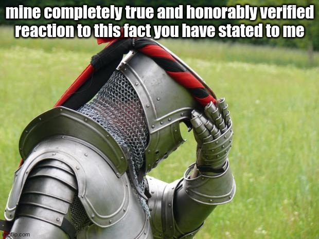 Medieval Problems | mine completely true and honorably verified reaction to this fact you have stated to me | image tagged in medieval problems | made w/ Imgflip meme maker