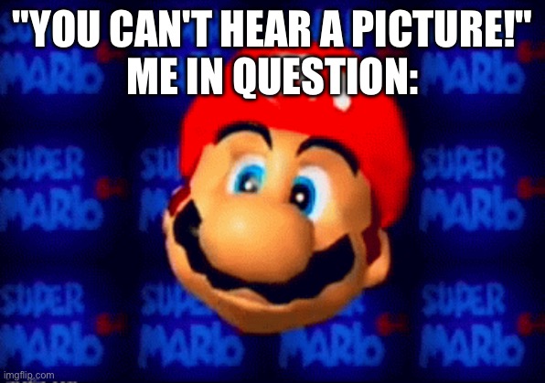 Mario head | "YOU CAN'T HEAR A PICTURE!"
ME IN QUESTION: | image tagged in mario head | made w/ Imgflip meme maker