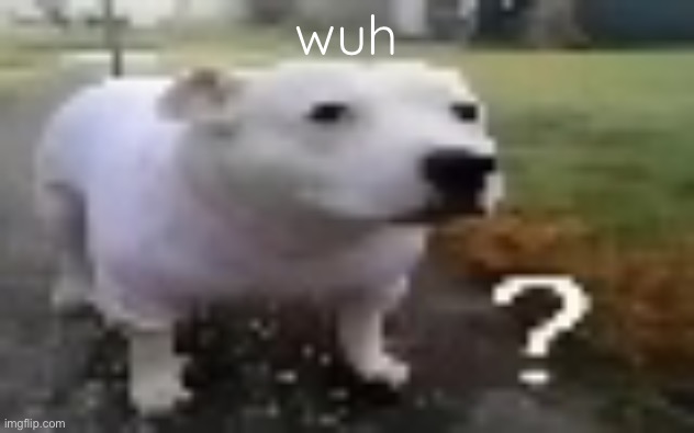 wuh | wuh | image tagged in huh | made w/ Imgflip meme maker