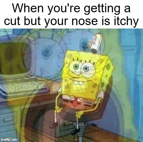 i tried to scream but my head was getting a FRESH NEW CUT | When you're getting a cut but your nose is itchy | image tagged in spongebob panic inside | made w/ Imgflip meme maker