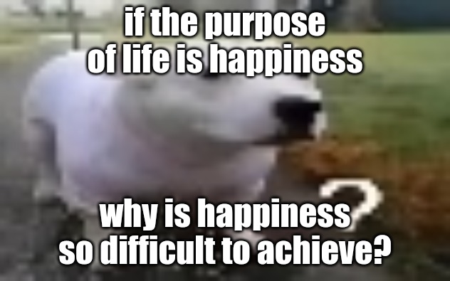 huh | if the purpose of life is happiness; why is happiness so difficult to achieve? | image tagged in huh | made w/ Imgflip meme maker