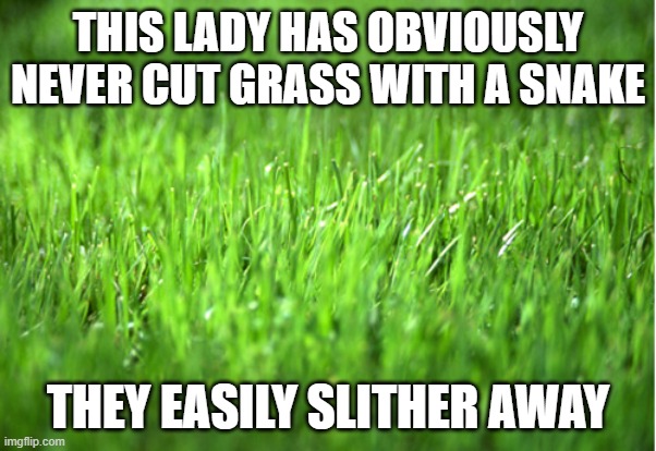 grass is greener | THIS LADY HAS OBVIOUSLY NEVER CUT GRASS WITH A SNAKE THEY EASILY SLITHER AWAY | image tagged in grass is greener | made w/ Imgflip meme maker