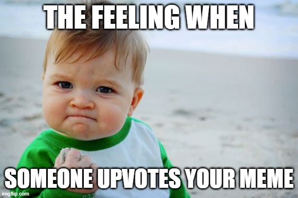 love it | THE FEELING WHEN; SOMEONE UPVOTES YOUR MEME | image tagged in memes,success kid original | made w/ Imgflip meme maker