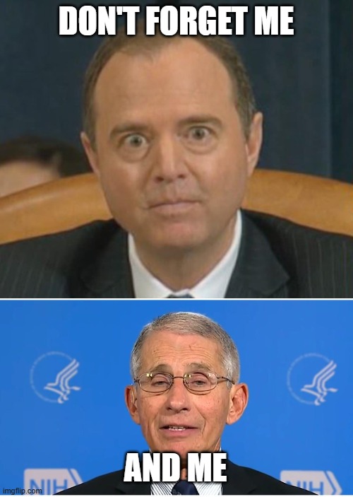 DON'T FORGET ME AND ME | image tagged in crazy adam schiff,dr fauci | made w/ Imgflip meme maker
