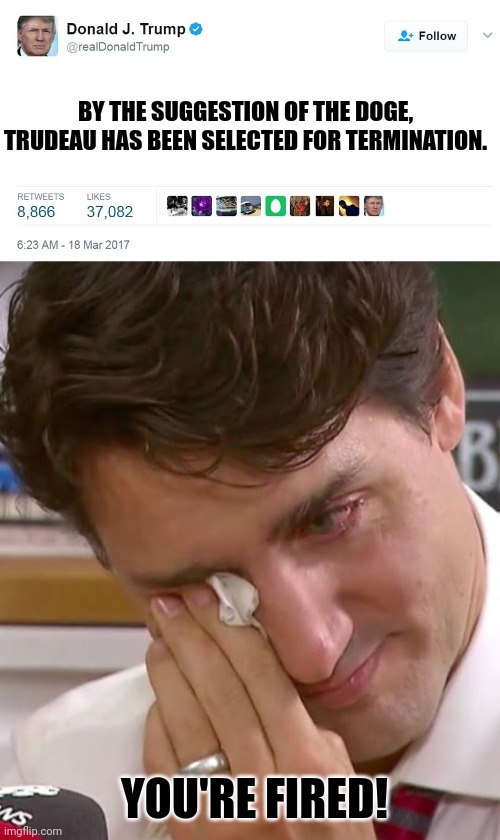 You're been Trumped. | BY THE SUGGESTION OF THE DOGE, TRUDEAU HAS BEEN SELECTED FOR TERMINATION. YOU'RE FIRED! | image tagged in trump tweet blank,justin trudeau crying | made w/ Imgflip meme maker