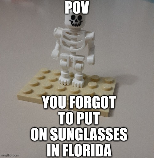 Florida Sunglasses Moment | POV; YOU FORGOT TO PUT ON SUNGLASSES IN FLORIDA | image tagged in meanwhile in florida | made w/ Imgflip meme maker