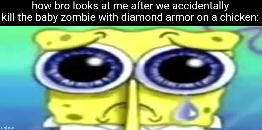 Sad Spong | how bro looks at me after we accidentally kill the baby zombie with diamond armor on a chicken: | image tagged in sad spong | made w/ Imgflip meme maker