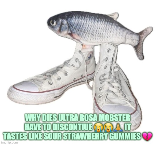 i tried a monster today | WHY DIES ULTRA ROSA MOBSTER HAVE TO DISCONTIUE 😭😭🙏 IT TASTES LIKE SOUR STRAWBERRY GUMMIES 💔 | image tagged in fihs | made w/ Imgflip meme maker