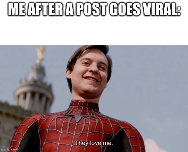 im sure they do | ME AFTER A POST GOES VIRAL: | image tagged in they love me,who said what now | made w/ Imgflip meme maker