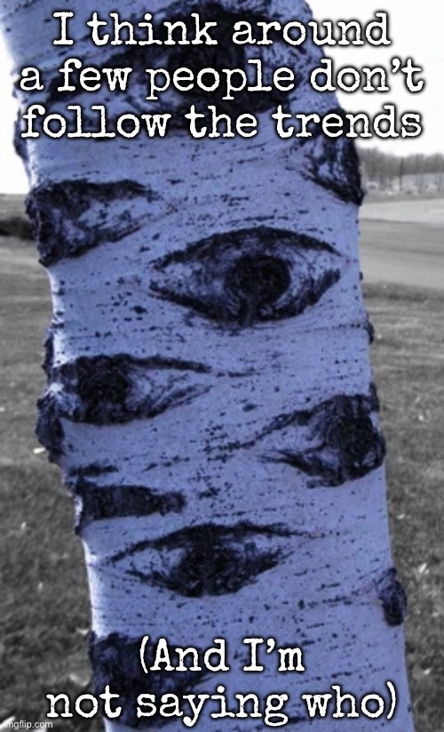 what a nice tree | I think around a few people don’t follow the trends; (And I’m not saying who) | image tagged in what a nice tree,msmg | made w/ Imgflip meme maker