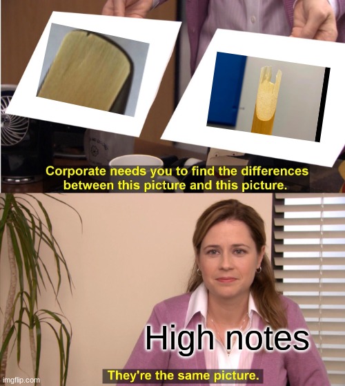 am I right or am I right | High notes | image tagged in memes,they're the same picture | made w/ Imgflip meme maker