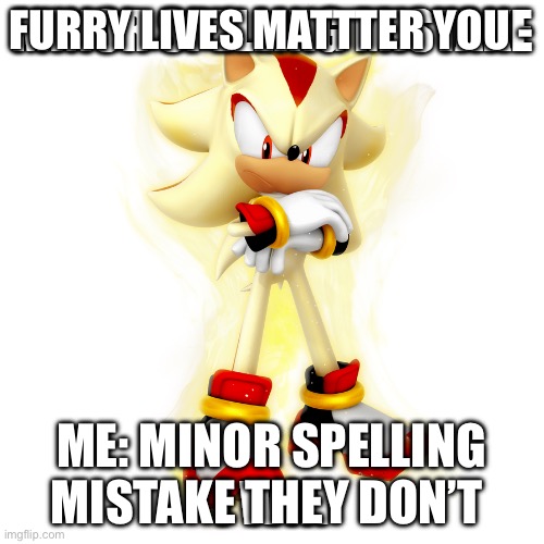 Minor Spelling Mistake HD | FURRY LIVES MATTTER YOU - ME: MINOR SPELLING MISTAKE THEY DON’T | image tagged in minor spelling mistake hd | made w/ Imgflip meme maker