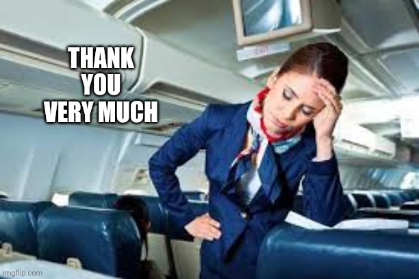 flight attendant | THANK YOU VERY MUCH | image tagged in flight attendant | made w/ Imgflip meme maker