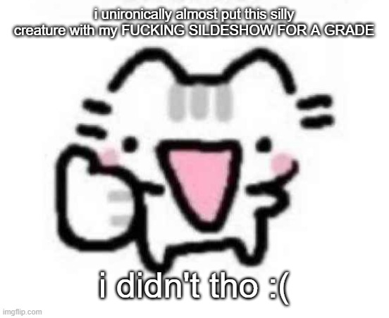 silly cat thumbs up | i unironically almost put this silly creature with my FUCKING SILDESHOW FOR A GRADE; i didn't tho :( | image tagged in silly cat thumbs up | made w/ Imgflip meme maker