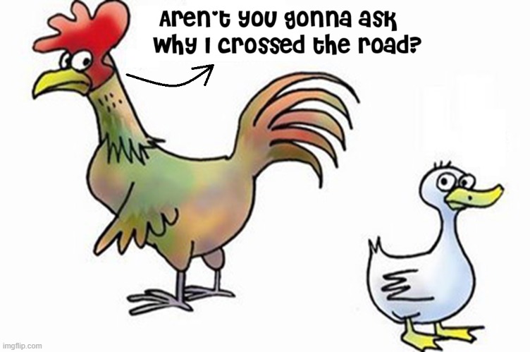 Inquiring Roosters Wanna Know | image tagged in vince vance,rooster,cartoons,chicken,cross the road,duck | made w/ Imgflip meme maker