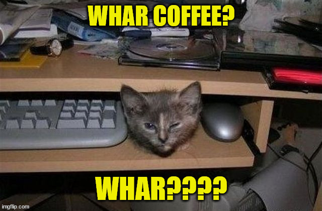 Whar coffee? | image tagged in coffee,cat,monday mornings,mornings,cat memes | made w/ Imgflip meme maker