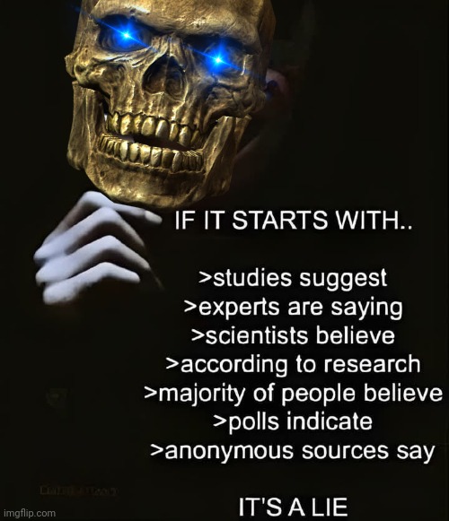 Skeletor don't trust experts | image tagged in skeletor,expert | made w/ Imgflip meme maker