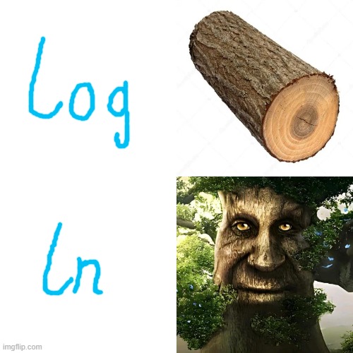 Log vs Natural Log | image tagged in math | made w/ Imgflip meme maker