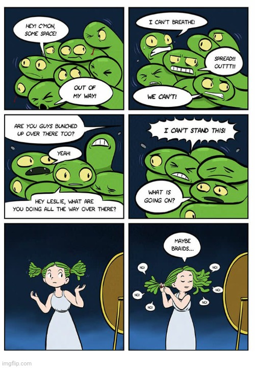 Hair snakes | image tagged in hair,braids,snakes,snake,comics,comics/cartoons | made w/ Imgflip meme maker