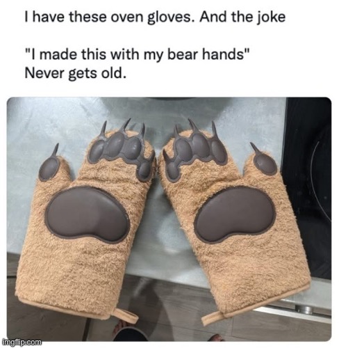 Home made humour | image tagged in home,oven,bear,we bare bears | made w/ Imgflip meme maker