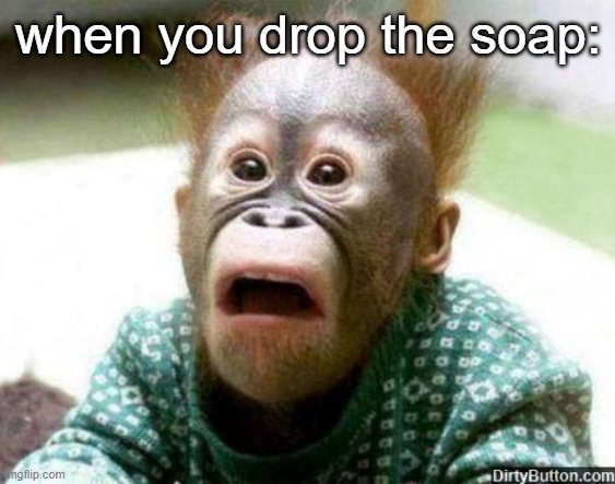 we all know what happens when you drop the soap | when you drop the soap: | image tagged in oh shit monkey,don't drop the soap | made w/ Imgflip meme maker