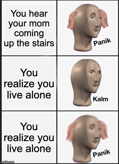 Panic | You hear your mom coming up the stairs; You realize you live alone; You realize you live alone | image tagged in memes,panik kalm panik | made w/ Imgflip meme maker