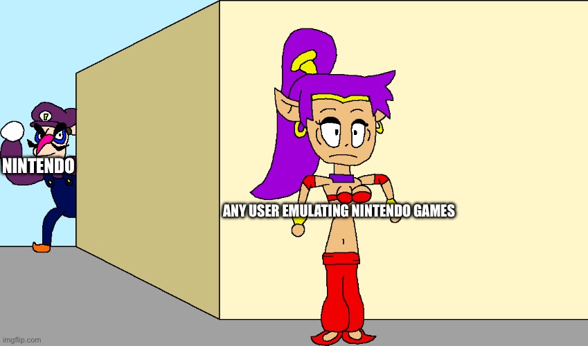 Nintendo After YouTube Channels For Games Being Emulated | NINTENDO; ANY USER EMULATING NINTENDO GAMES | image tagged in shantae is not safe from waluigi generator | made w/ Imgflip meme maker