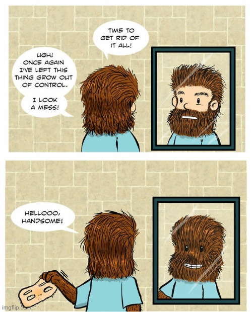 Hairy | image tagged in animal,hairy,hair,comics,comics/cartoons,fur | made w/ Imgflip meme maker