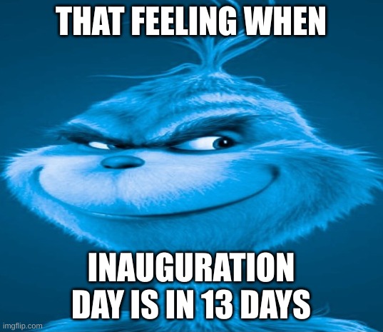 Donald Trump is entering the White House really quickly... | THAT FEELING WHEN; INAUGURATION DAY IS IN 13 DAYS | image tagged in blue grinch,president,america,united states of america,president trump,donald trump | made w/ Imgflip meme maker