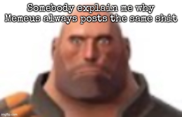 I don’t find it funny to be honest | Somebody explain me why Memeus always posts the same shit | image tagged in close-up staring heavy,msmg | made w/ Imgflip meme maker