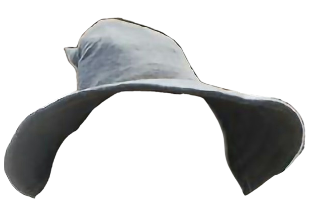 Gandalf Hat Blank Meme Template