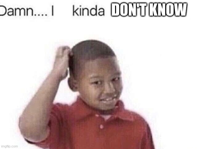 Damn I kinda don’t meme | DON'T KNOW | image tagged in damn i kinda don t meme | made w/ Imgflip meme maker