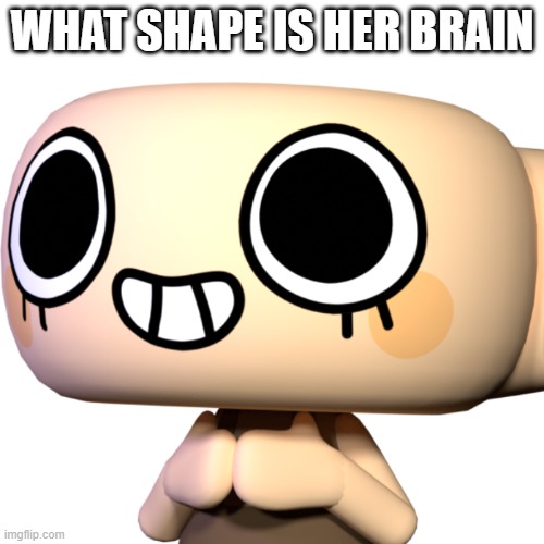 What Shape Is Her Brain | WHAT SHAPE IS HER BRAIN | image tagged in shelly | made w/ Imgflip meme maker