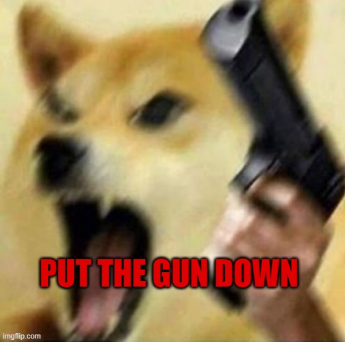 Angry doge with gun | PUT THE GUN DOWN | image tagged in angry doge with gun | made w/ Imgflip meme maker