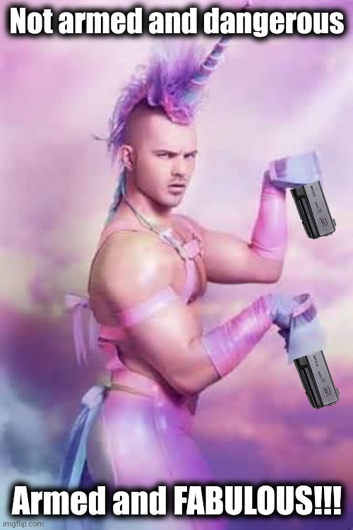 Gay Unicorn | Not armed and dangerous Armed and FABULOUS!!! | image tagged in gay unicorn | made w/ Imgflip meme maker