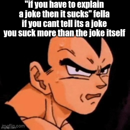 qhahwhytathhthtt??,??,,?? | "if you have to explain a joke then it sucks" fella if you cant tell its a joke you suck more than the joke itself | image tagged in qhahwhytathhthtt | made w/ Imgflip meme maker