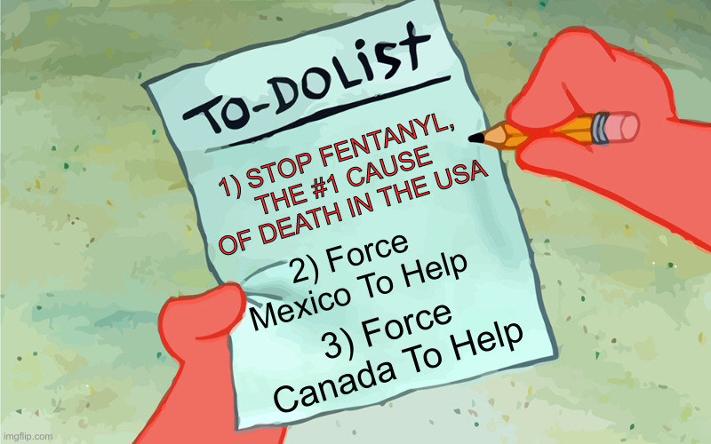 For 18-49 Year Olds, Hidden In Unintentional Accidents Data,250 Americans Per Day | 1) STOP FENTANYL, THE #1 CAUSE OF DEATH IN THE USA; 2) Force Mexico To Help; 3) Force Canada To Help | image tagged in patrick to do list actually blank,politics,political meme,funny memes,funny,donald trump | made w/ Imgflip meme maker