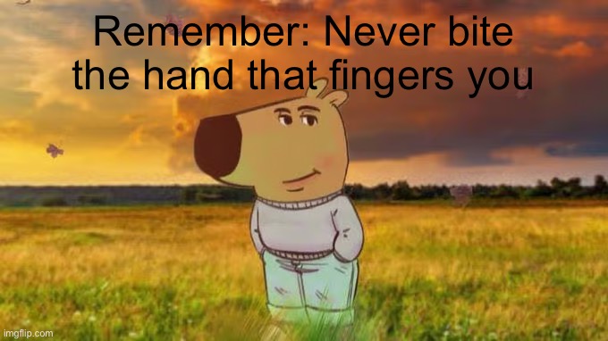 Or however the saying goes | Remember: Never bite the hand that fingers you | image tagged in just a chill guy outside | made w/ Imgflip meme maker