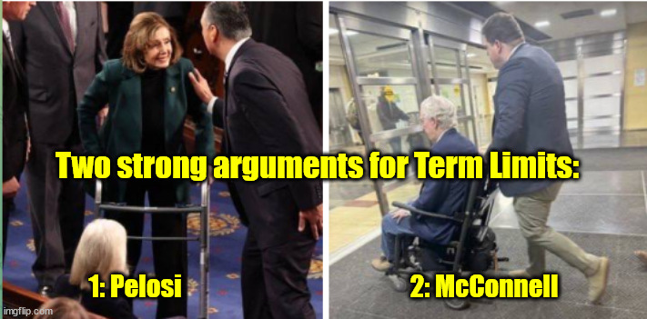 Two strong arguments for Term Limits:; 1: Pelosi                                              2: McConnell | made w/ Imgflip meme maker