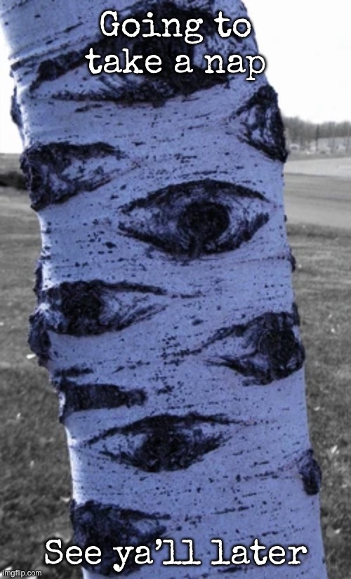 what a nice tree | Going to take a nap; See ya’ll later | image tagged in what a nice tree | made w/ Imgflip meme maker