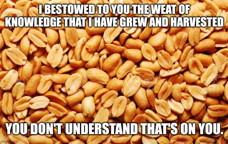 Would you like a peanut | I BESTOWED TO YOU THE WEAT OF KNOWLEDGE THAT I HAVE GREW AND HARVESTED; YOU DON'T UNDERSTAND THAT'S ON YOU. | image tagged in peanuts,philosophy,buddhism,people,happiness,within | made w/ Imgflip meme maker