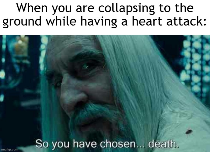 I am collapsing to the ground while having a heart attack | When you are collapsing to the ground while having a heart attack: | image tagged in so you have chosen death,memes,funny | made w/ Imgflip meme maker