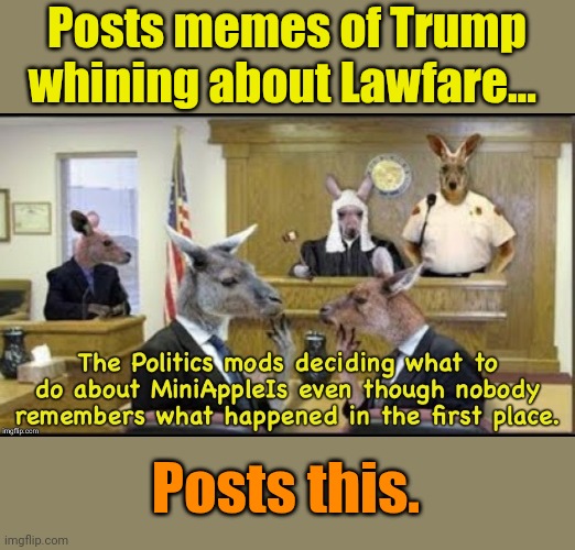 Waaaaahhhhh! | Posts memes of Trump whining about Lawfare... Posts this. | made w/ Imgflip meme maker