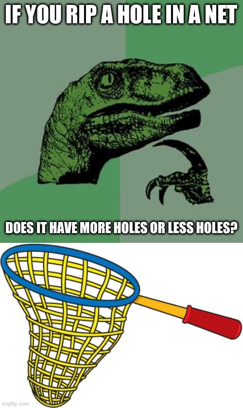 Net | IF YOU RIP A HOLE IN A NET; DOES IT HAVE MORE HOLES OR LESS HOLES? | image tagged in memes,philosoraptor,net,holes | made w/ Imgflip meme maker