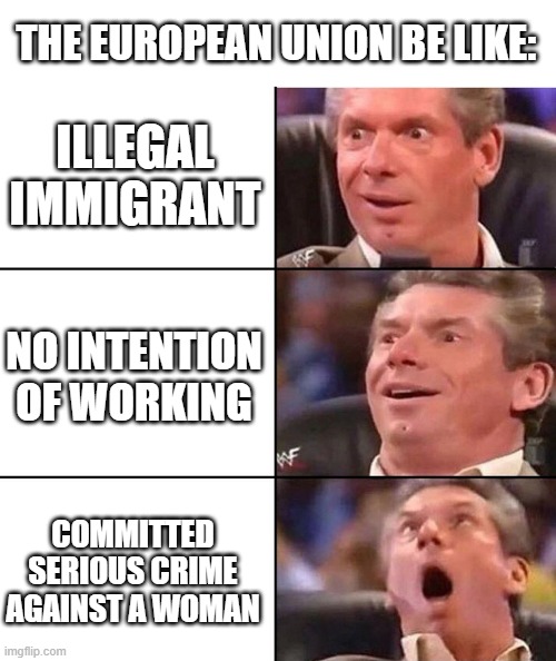 Vince McMahon | THE EUROPEAN UNION BE LIKE:; ILLEGAL IMMIGRANT; NO INTENTION OF WORKING; COMMITTED SERIOUS CRIME AGAINST A WOMAN | image tagged in vince mcmahon | made w/ Imgflip meme maker